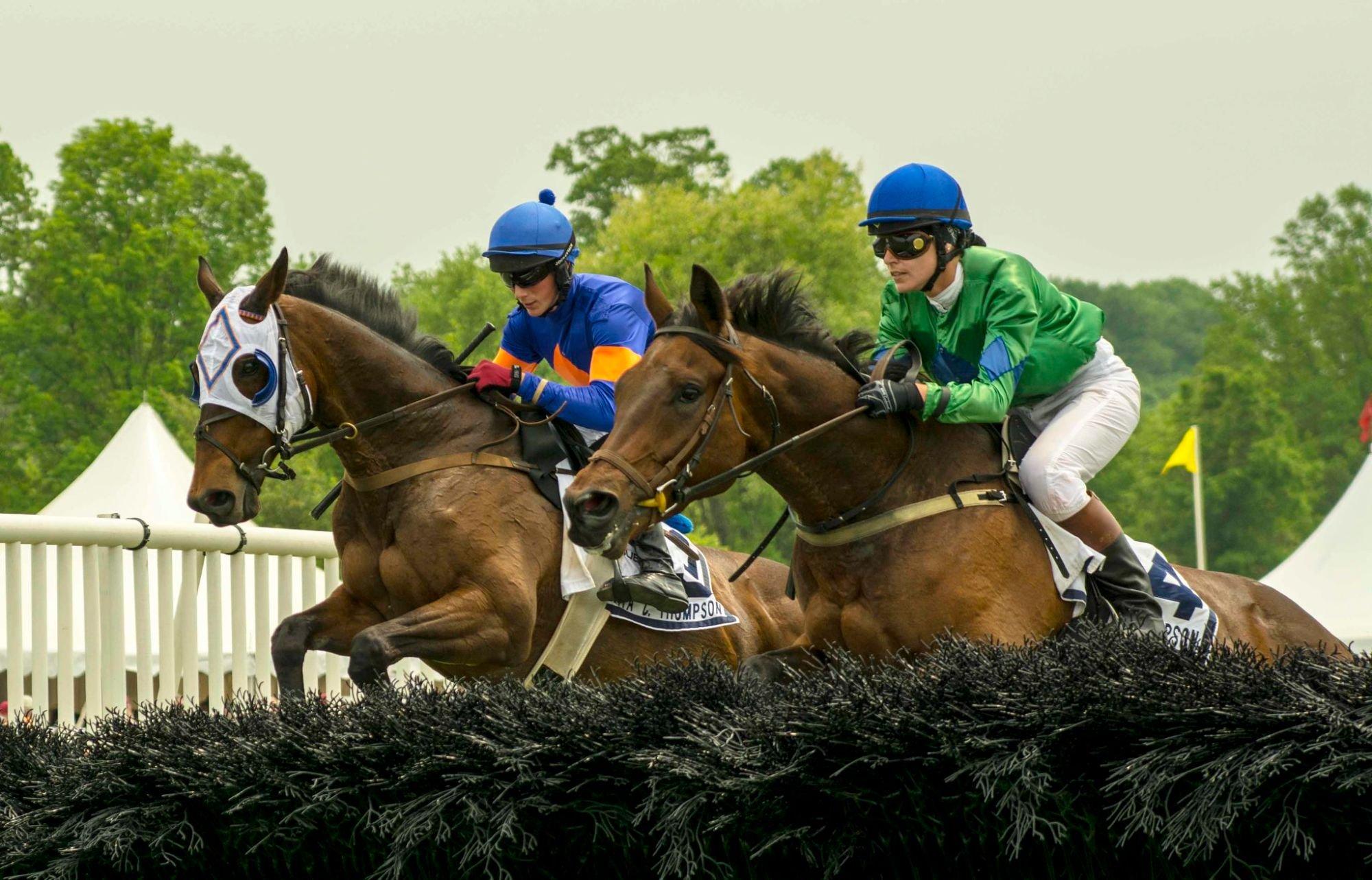 carousel-hero-element image-0